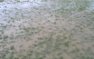 Point sur les entrainements de ce mercredi 09 mars 2016 