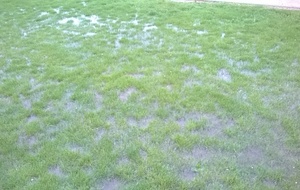 ENTRAINEMENT U11/U13 et seniors  du mardi 31 mai ANNULE