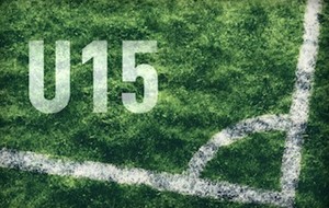 Le Groupe U15  2016 - 2017