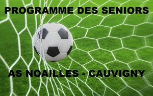 Suite du programme d'avant saison des Séniors 