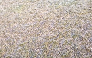 Pas de petits matchs avant la galette