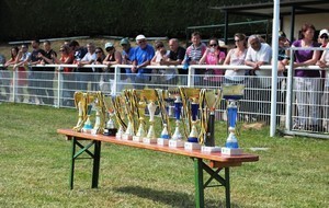 Mercredi 28 juin Remise des récompenses de l'école de foot