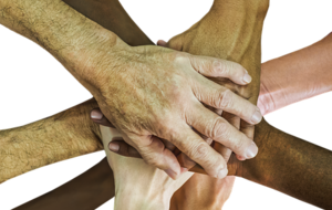 Victoire pour l'équipe de l' ASNC