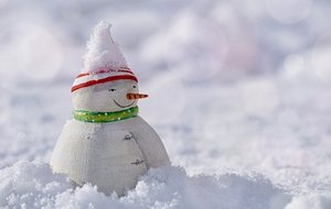 Pas de Baby ballon ce samedi 10 février