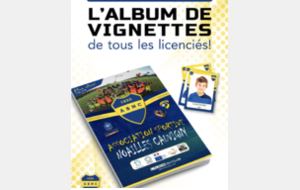 L'album du club, Comment ça marche ?