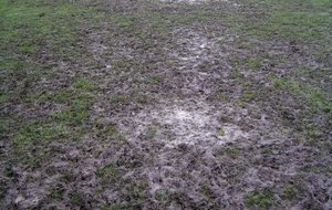 Entrainement du lundi 03 Décembre 