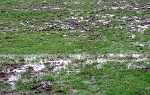 Points sur les entraînements du lundi 10 Décembre