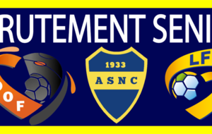 PLANNING ENTRAÎNEMENT SENIORS 