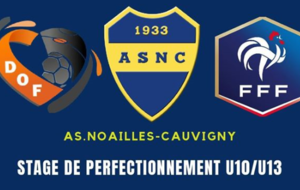 Stage de Perfectionnement Football