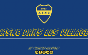 Bilan de l'action : L'ASNC dans les villages !
