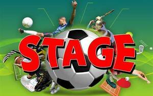 Stage d'été à l'ASNC !