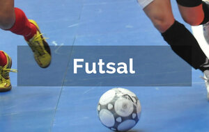 Bilan des plateaux Futsal 