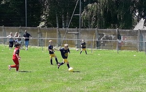 5b179935139cb_15.JPG