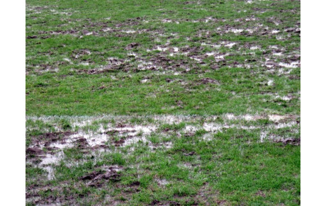 Points sur les entraînements du lundi 10 Décembre